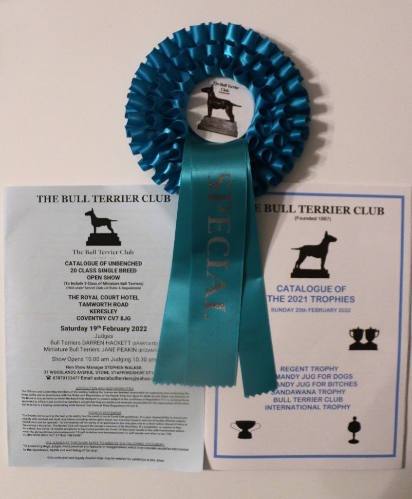 Of Tessa's Dream - The Bull Terrier Club Trophy Show