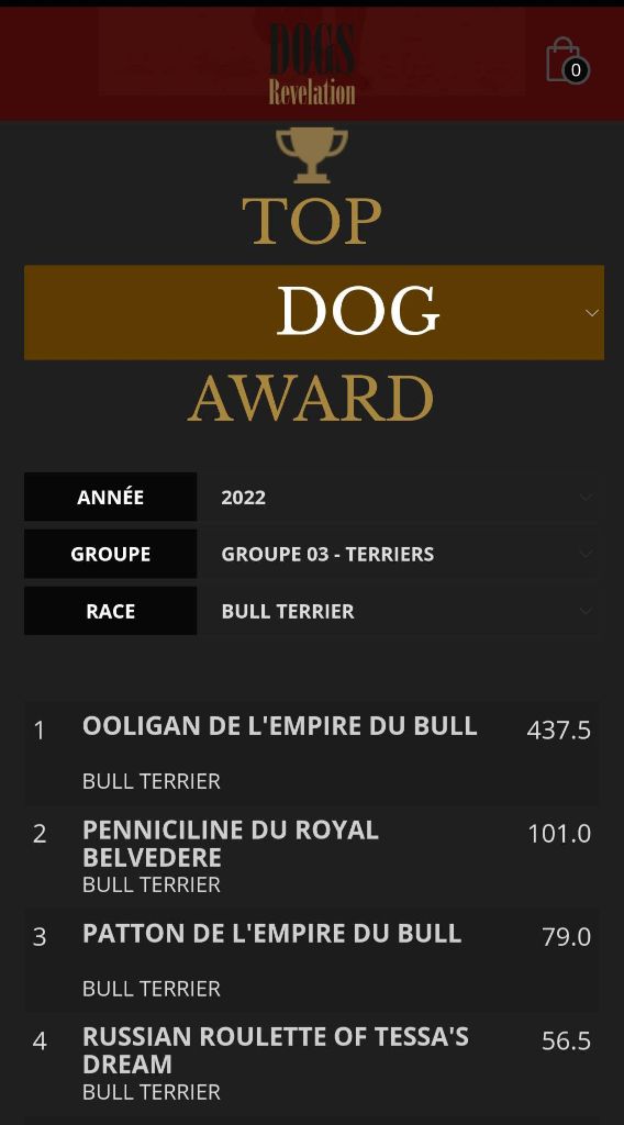 Of Tessa's Dream - Tara 4ème meilleur bull terrier en France en 2022