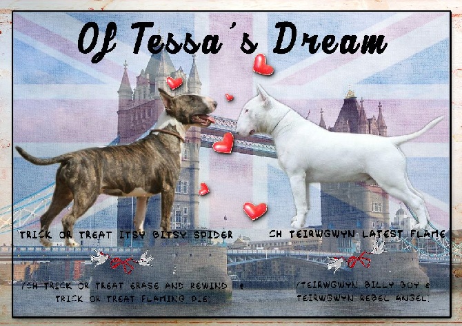 Of Tessa's Dream - Gestation confirmée