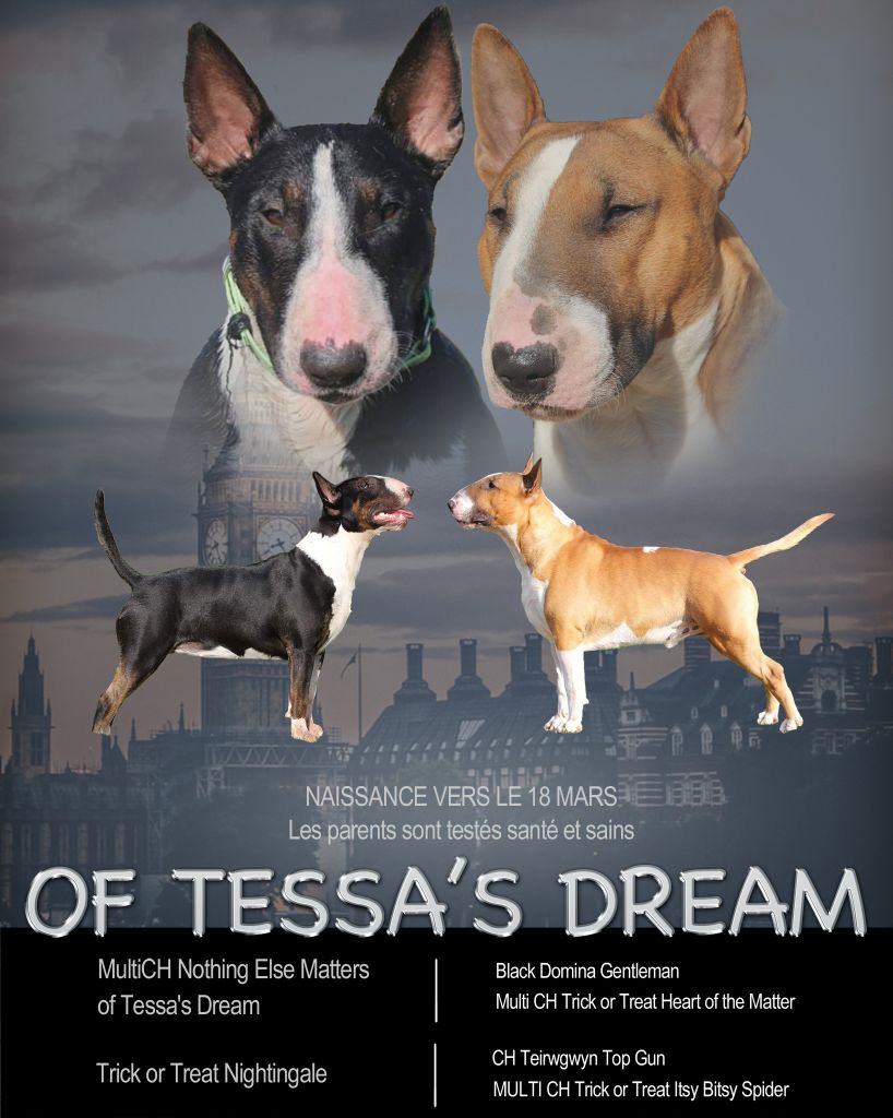 Of Tessa's Dream - Gestation confirmée!!!
