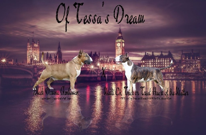 Of Tessa's Dream - Gestation confirmée!