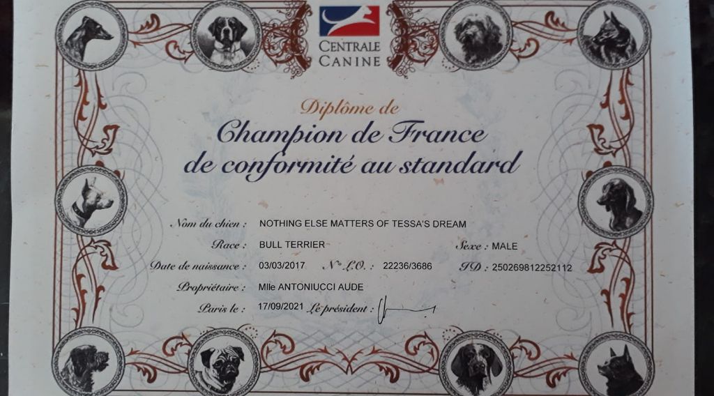 Of Tessa's Dream - Champion de France!!