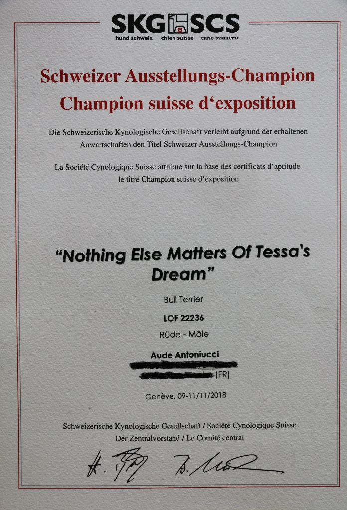 Of Tessa's Dream - Champion de Suisse d'exposition 2018
