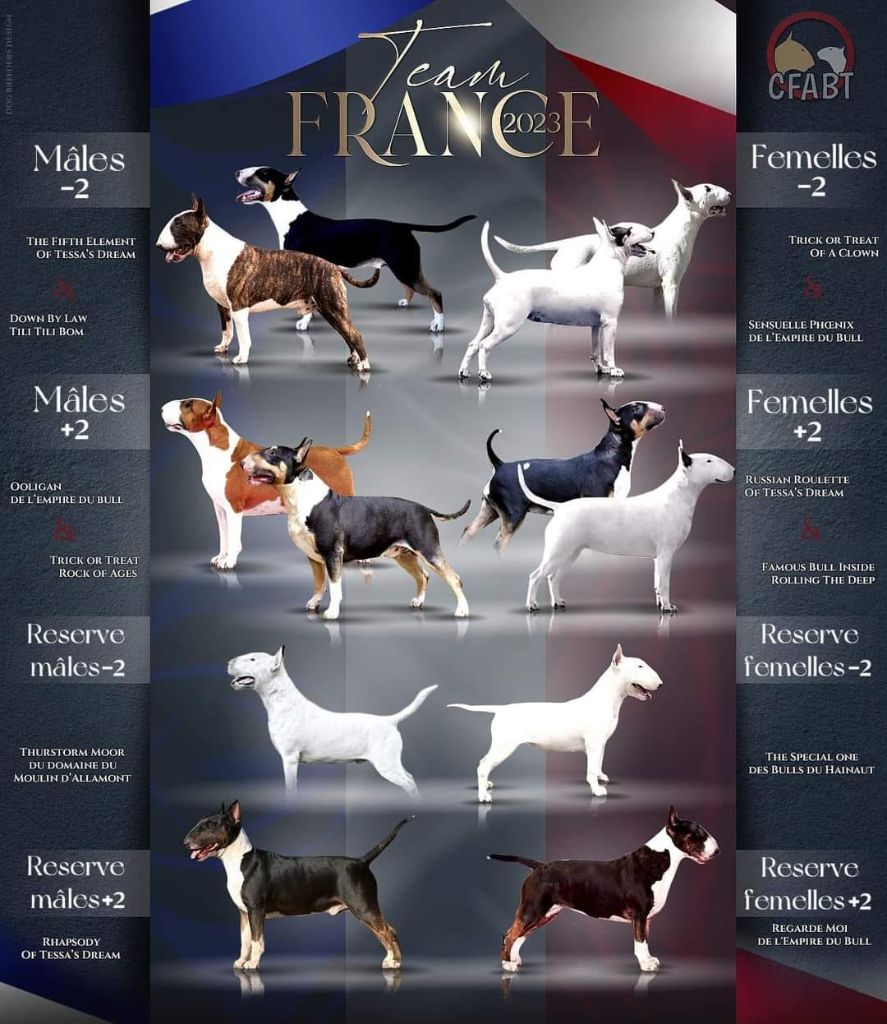 Of Tessa's Dream - Country Competition 2023 en Hollande