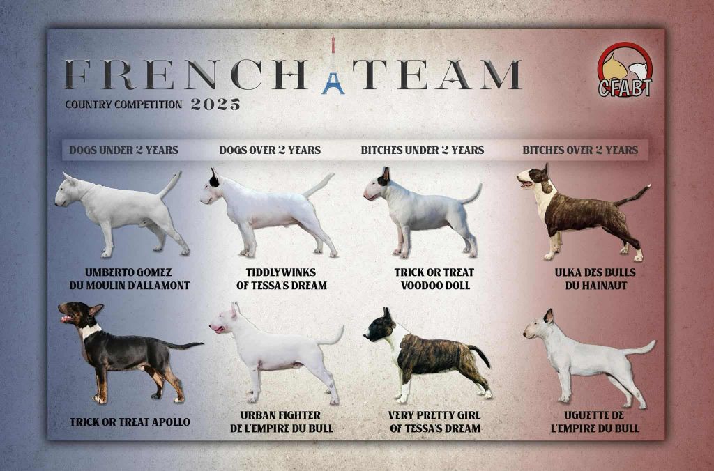 Of Tessa's Dream - Country Competition 2025