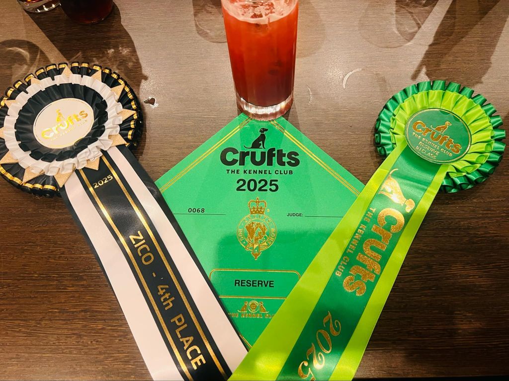 Of Tessa's Dream - CRUFTS 2025
