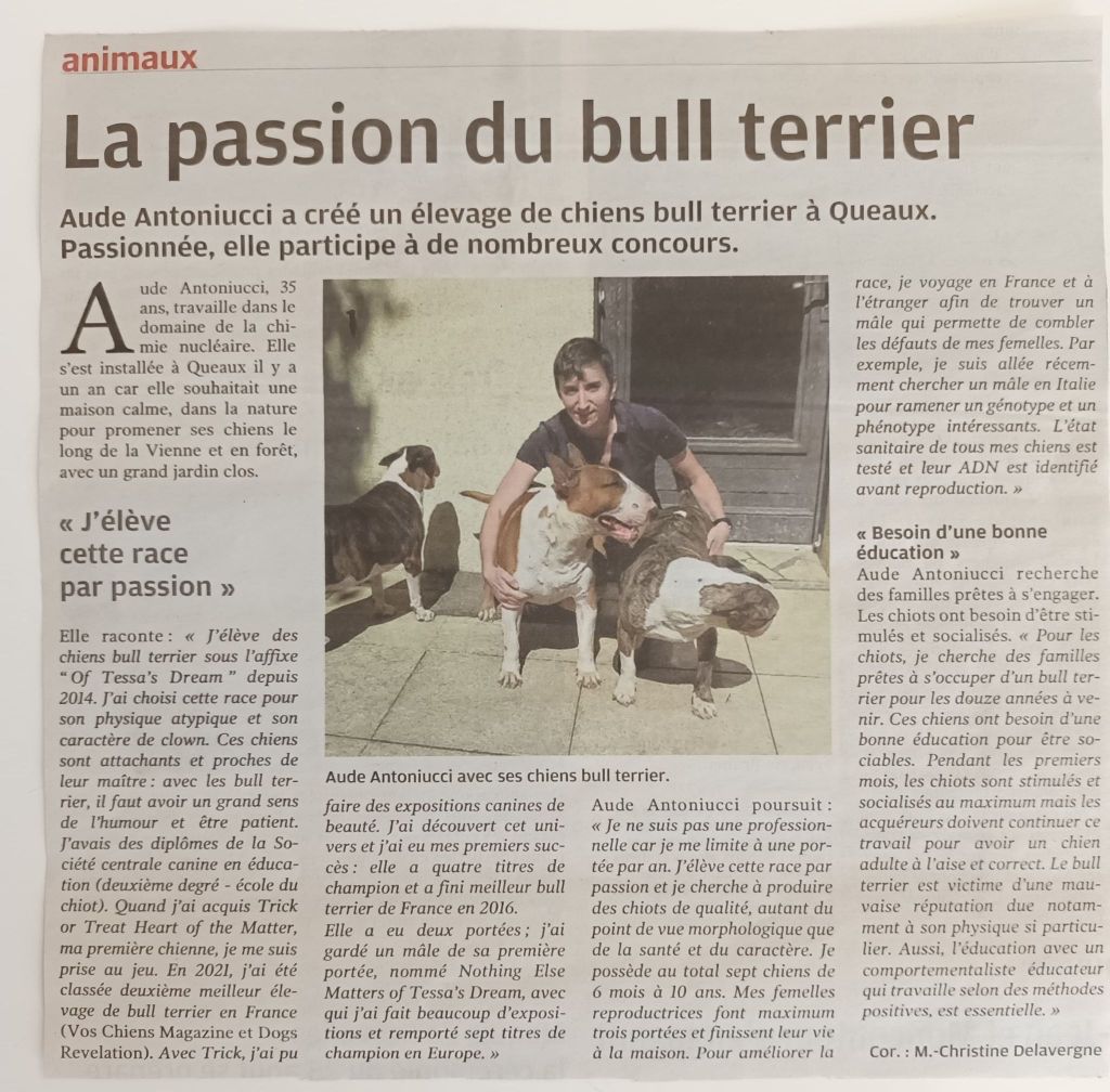 Of Tessa's Dream - Article dans le journal
